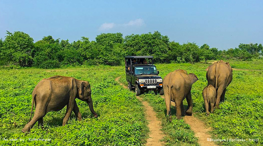 Sigiriya Travel Guide Sri Lanka
