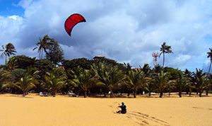 Negombo Private Driver Sri Lanka